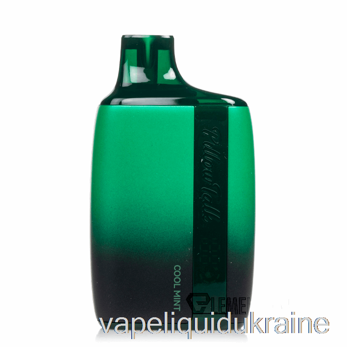 Vape Liquid Ukraine Pillow Talk 8500 Disposable Cool Mint